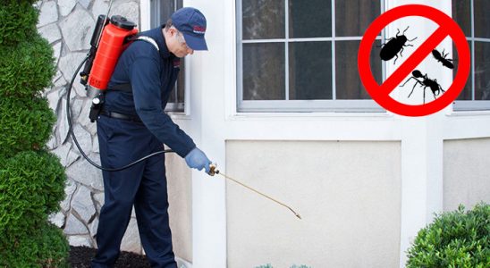 Pazarcık Kemirgen İlaçlama böcek ilaçlama ve haşere kontrolü — ilaclama-tr.com